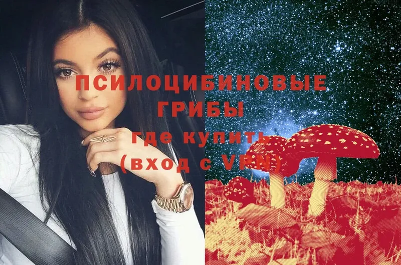 Псилоцибиновые грибы Psilocybe Заволжск